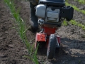 Pielnik rotacyjny VARI RP-T2S-4.jpg