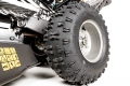 wbbc7623lc-10_15823.jpg