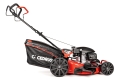 cedks56s-h-2025-04_16710.jpg