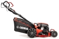 cedks48s-2025-04_16790.jpg