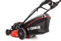 cedks48s-2025-09_16795.jpg