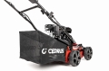 CEDWR01-B_05.jpg