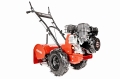 CEDRUSGLX480_03.jpg