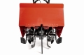 CEDRUSGLX480_07.jpg