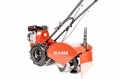 CEDRUSGLX480_08.jpg