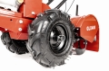 CEDRUSGLX480_10.jpg