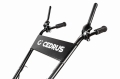CEDRUSGLX480_12.jpg