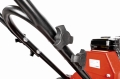 CEDRUSGLX480_16.jpg