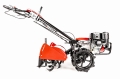 CEDRUSGLX540_04.jpg