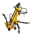 CEDLS09V_03.jpg