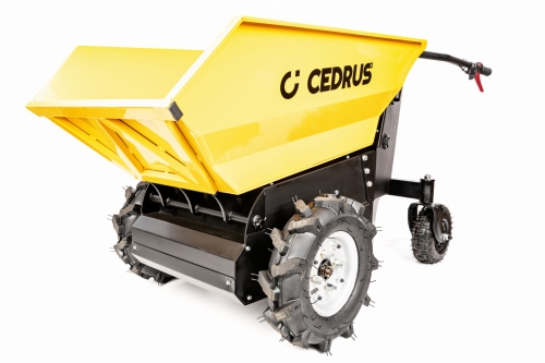 CEDTA500_01.jpg