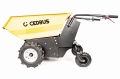 CEDTA500_08.jpg