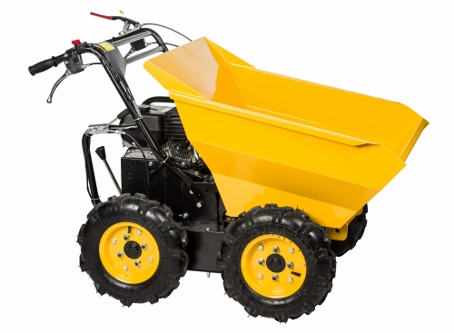 CEDTR300_01.jpg