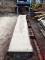 Trak taśmowy spalinowy OPTIMAT Timberland TMG 790S z osłoną taśmy-5.jpg