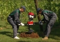 Wiertnica spalinowa dwuosobowa BLUEBIRD T170HO-7.jpg