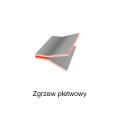 Zgrzewarka do membran dachowych i folii hydroizolacyjnych LEISTER VARIMAT 700-17.png
