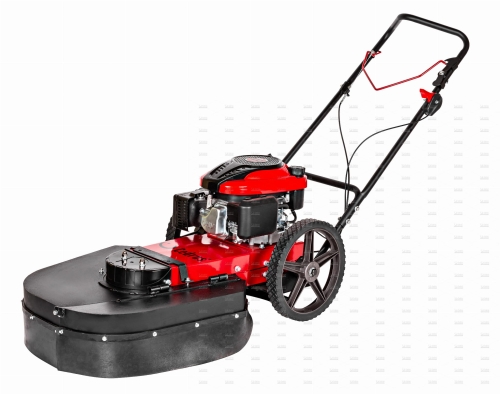 Odchwaszczarka-Kosiarka żyłkowa CEDRUS SC01.jpg