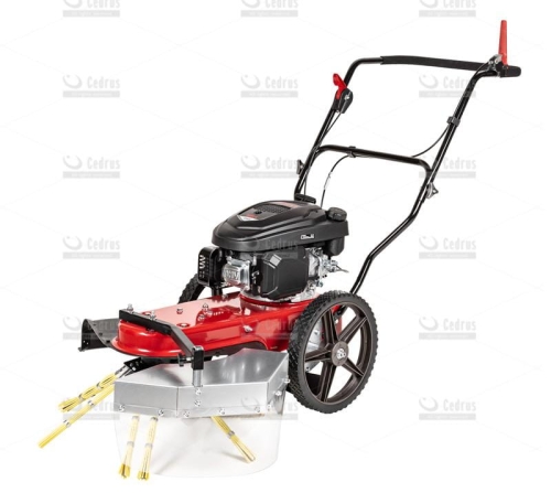 Odchwaszczarka spalinowa CEDRUS SC02.jpg
